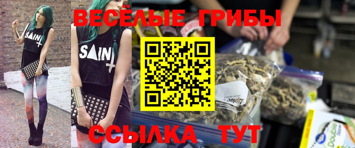 Псилоцибиновые грибы Psilocybine cubensis  Вход с VPN  Сибай  Псилоцибиновые грибы прущие грибы 