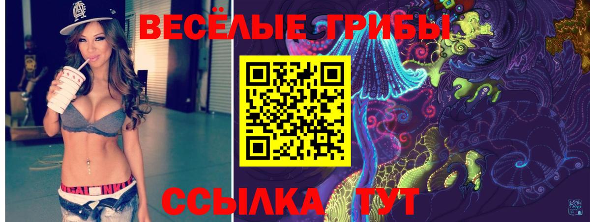 Псилоцибиновые грибы MAGIC MUSHROOMS Сибай